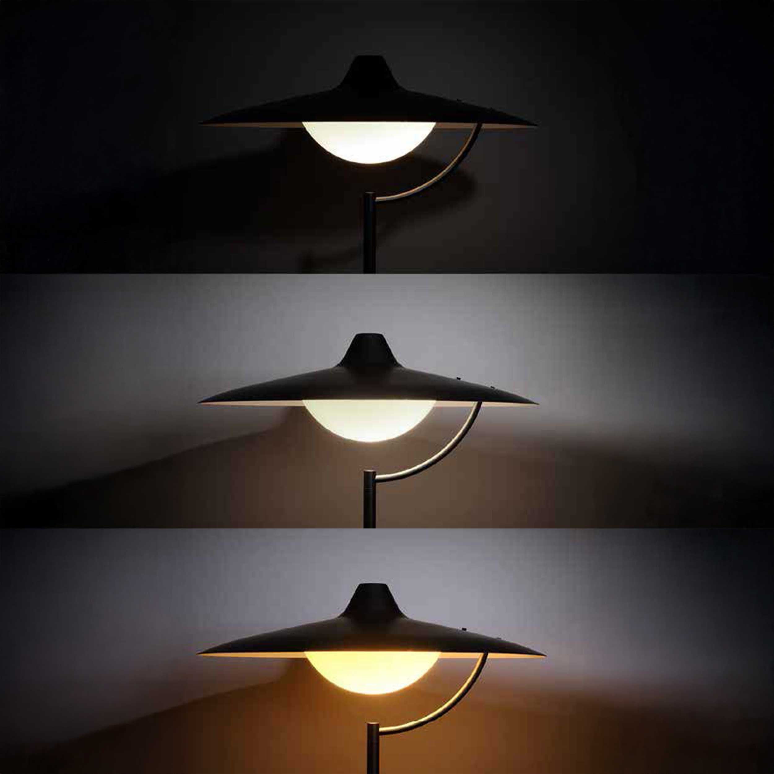 DCW édition NL 12 LED pendant light