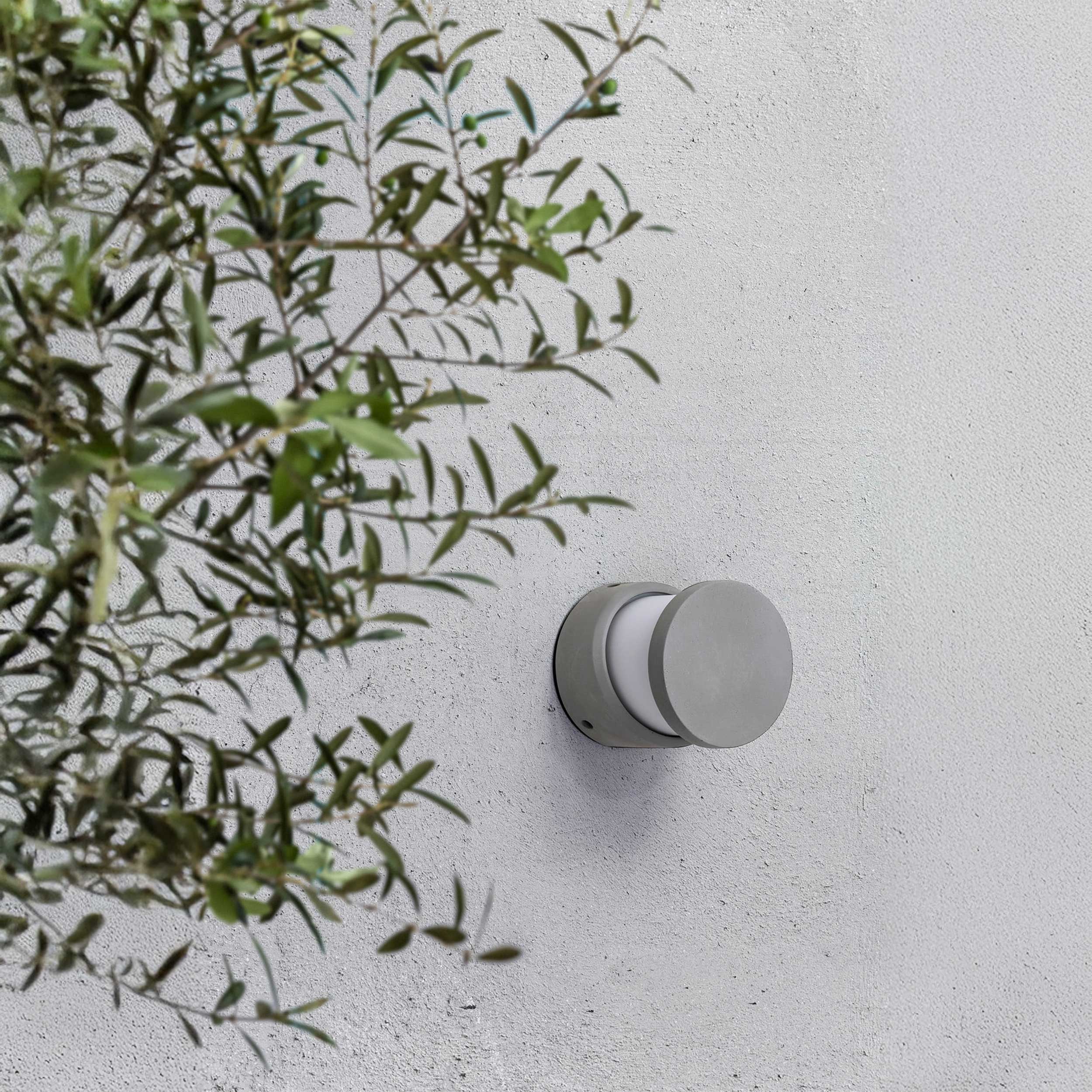 Faro Brume LED glass ceiling light IP44