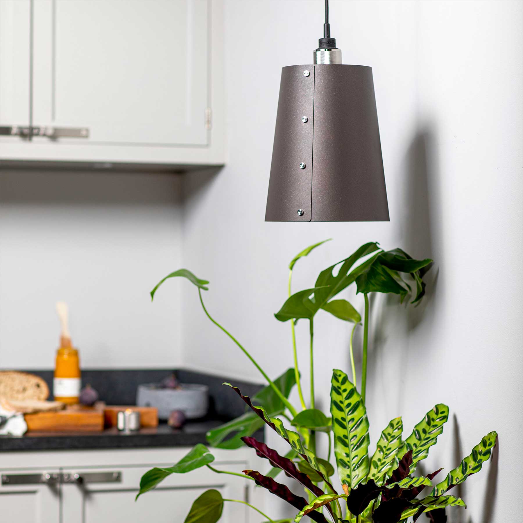 Buster & Punch HOOKED 1.0 Graphite E27 pendant light
