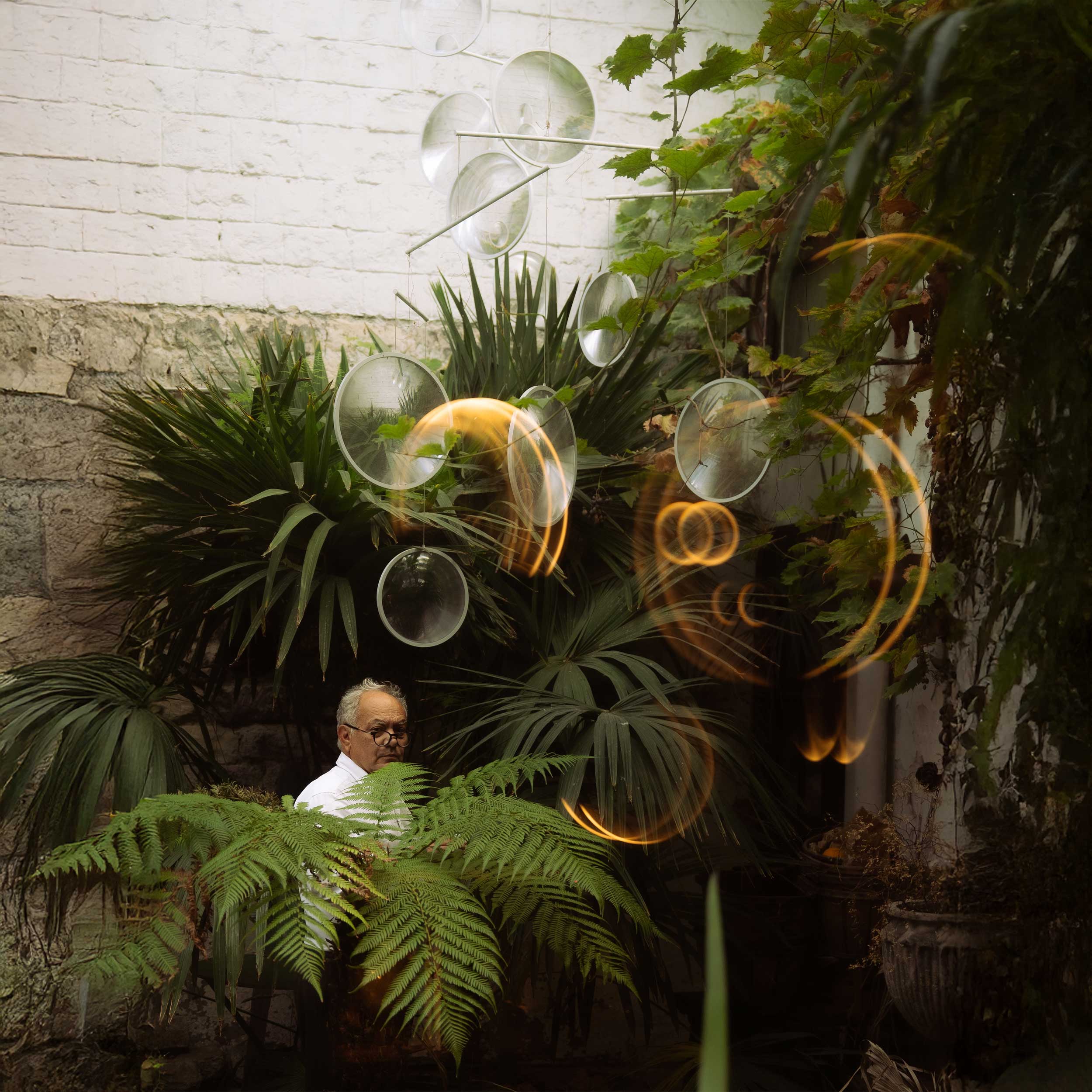 DCW édition NL 12 LED pendant light