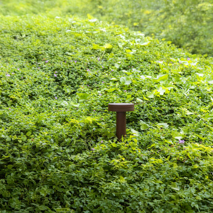 Szklana oprawa sufitowa Faro Brume LED IP44