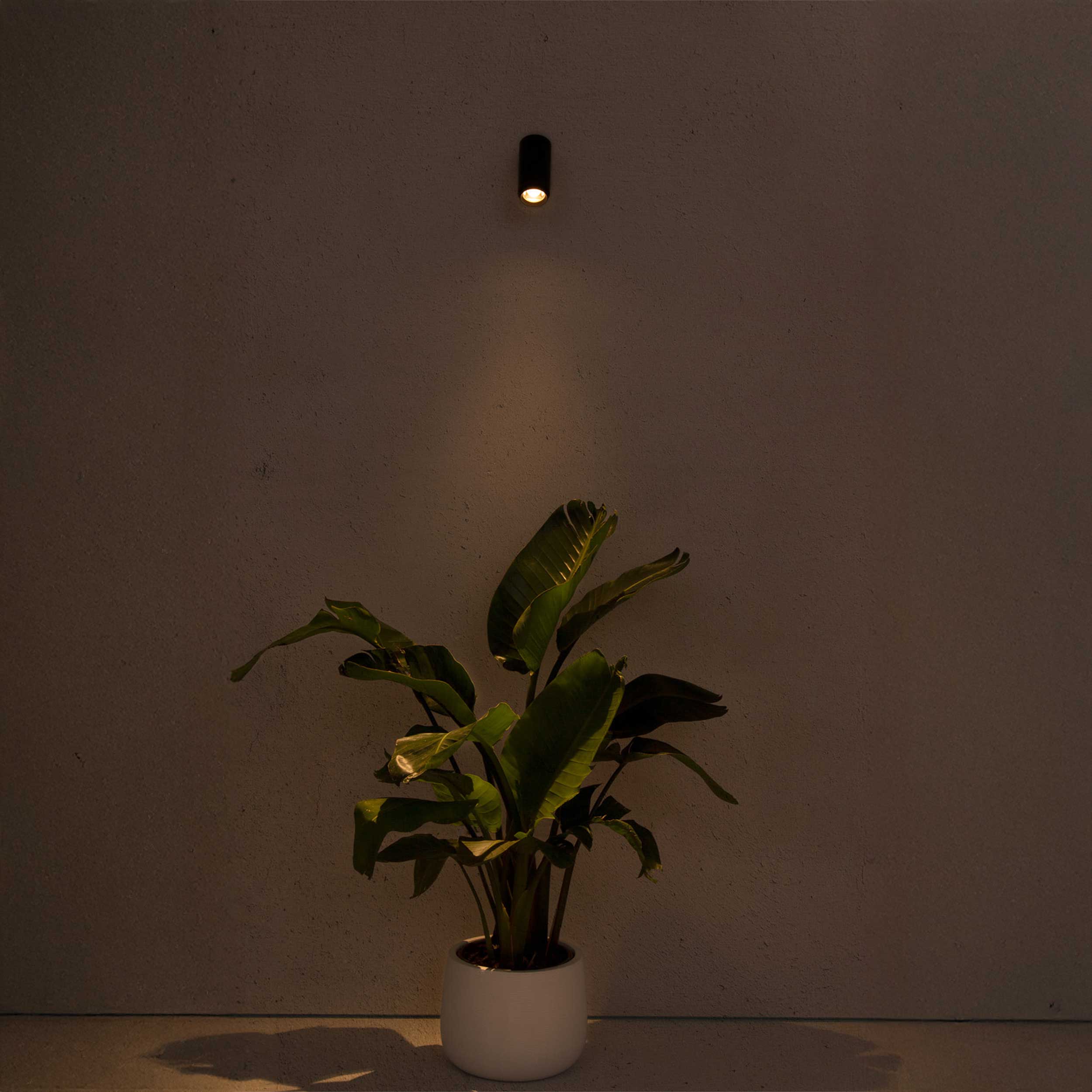 Szklana oprawa sufitowa Faro Brume LED IP44