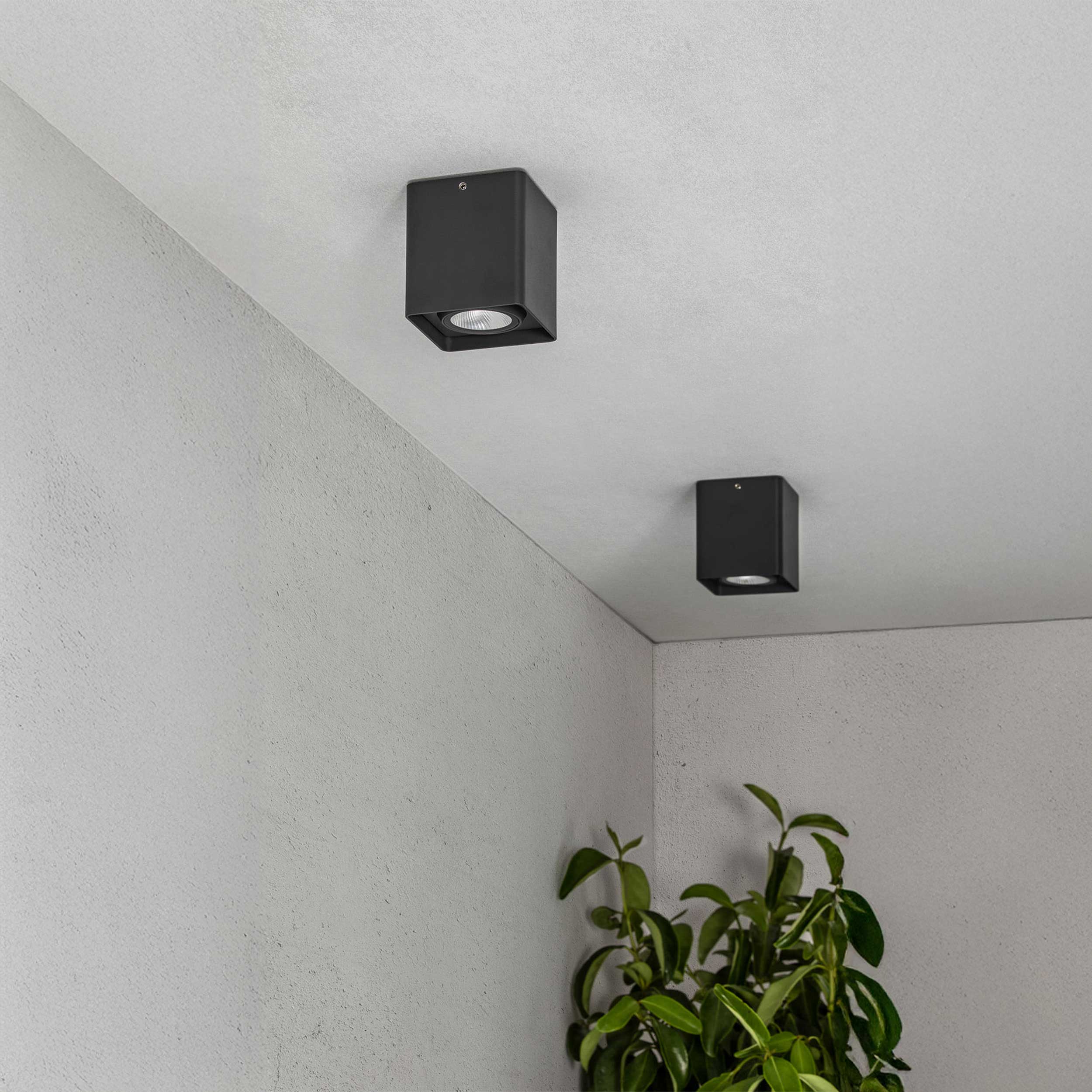 Faro Brume LED glass ceiling light IP44