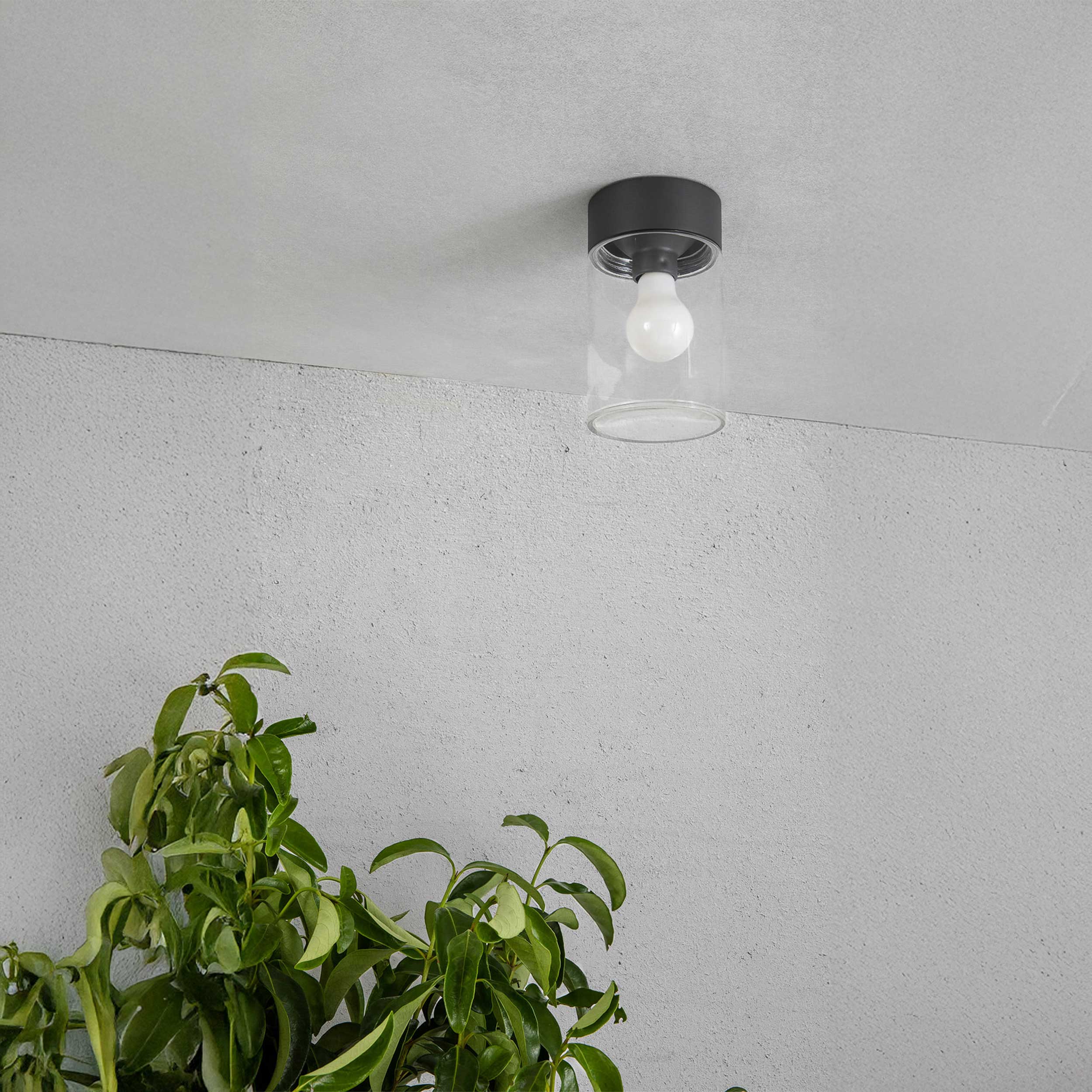 Szklana oprawa sufitowa Faro Brume LED IP44