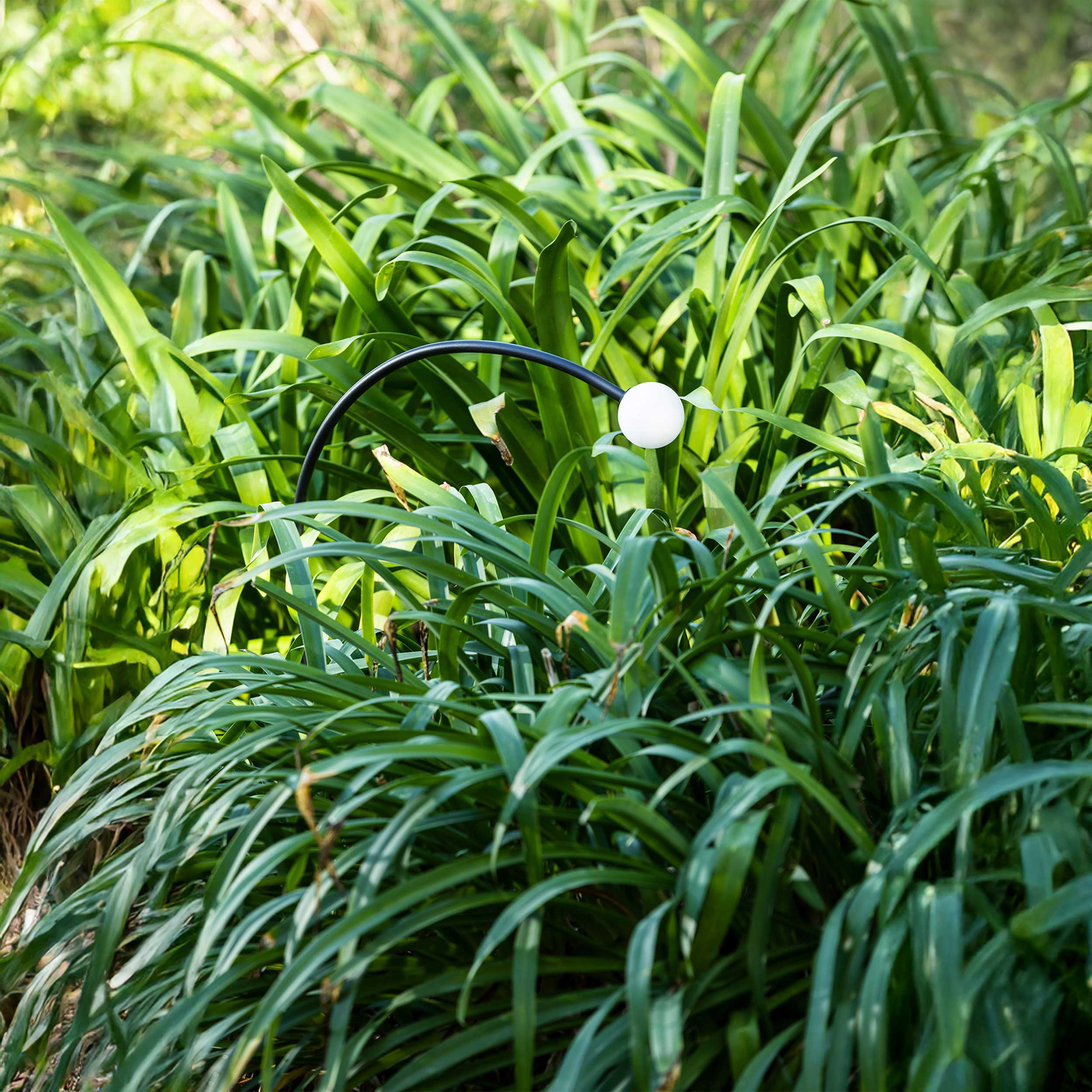 Faro Brume LED glass ceiling light IP44