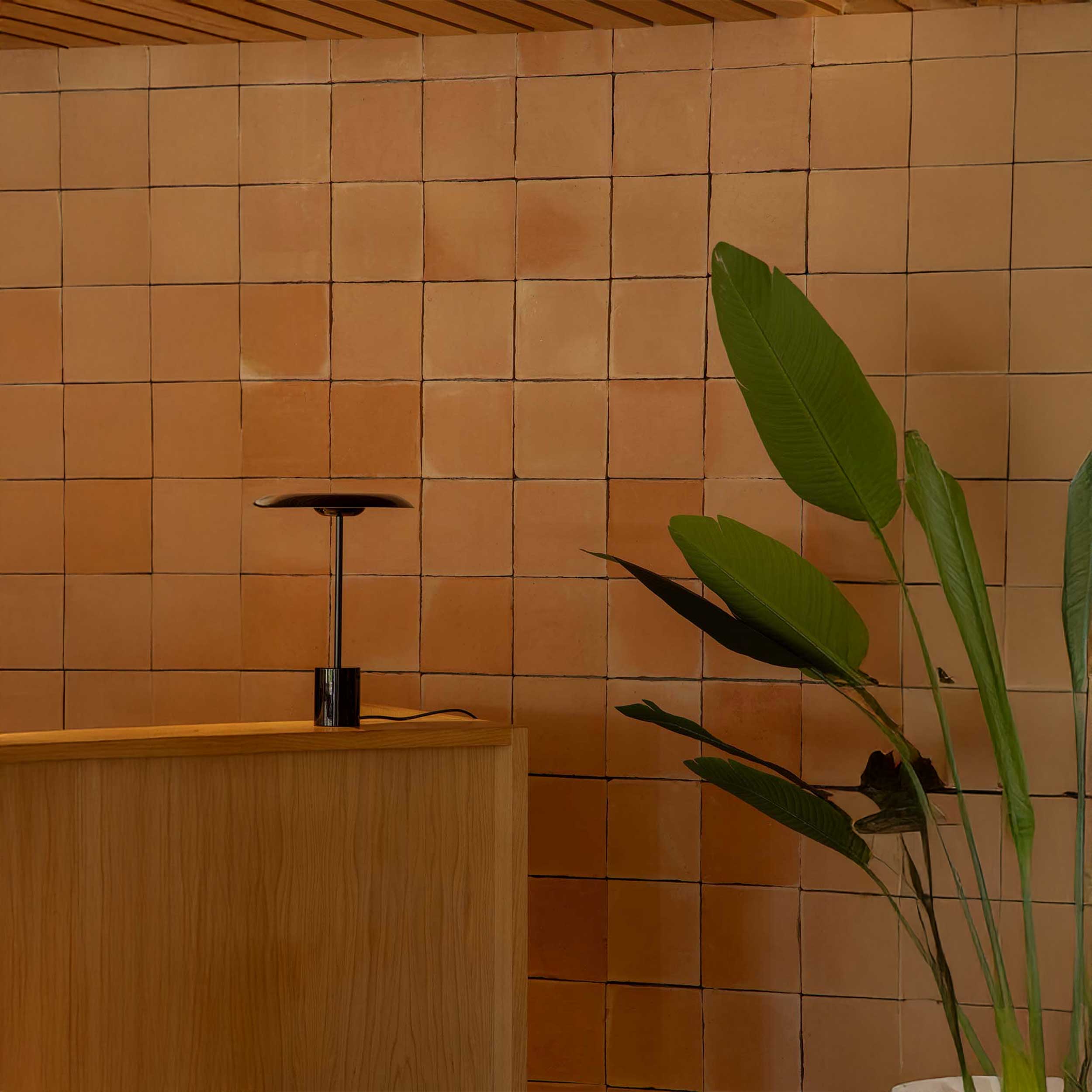 Faro Le Vita LED floor light dimmable