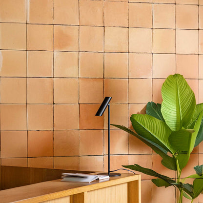 Faro Leo LED stolní svítidlo