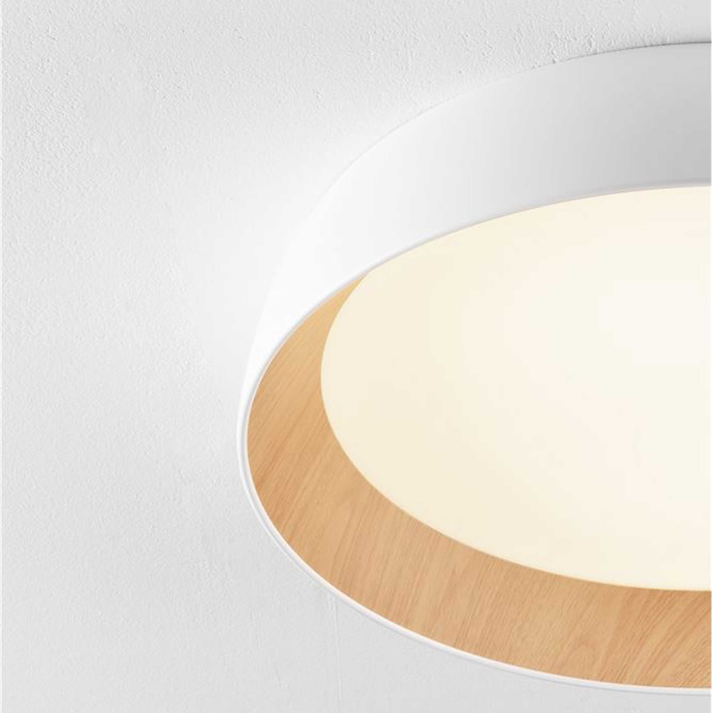 Nova Luce Sigi LED stropní svítidlo