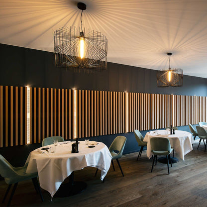 Wever and Ducré Wiro pendant light